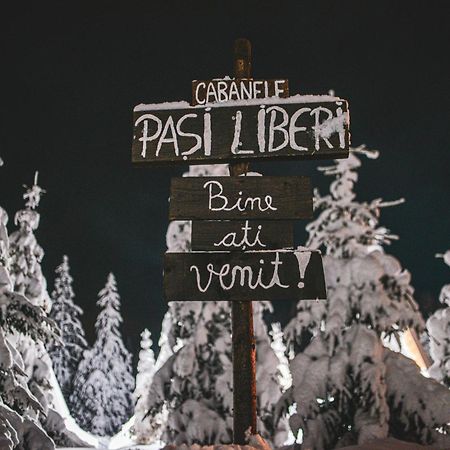 Camere De Inchiriat Pasi Liberi Tău Bistra Eksteriør billede